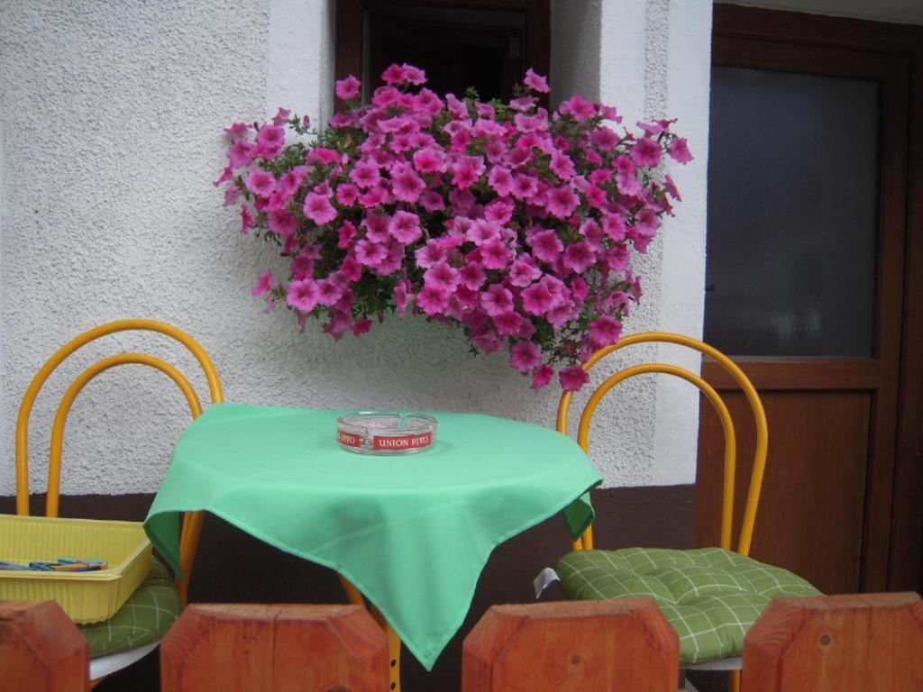 Apartmaji In Sobe Cuder Soča エクステリア 写真